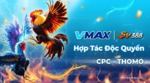 VMAX67 - VMAX 67 - VMAX