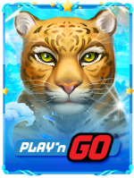 VMAX67 - VMAX 67 - VMAX